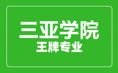 三亚学院王牌专业有哪些_最好的专业是什么