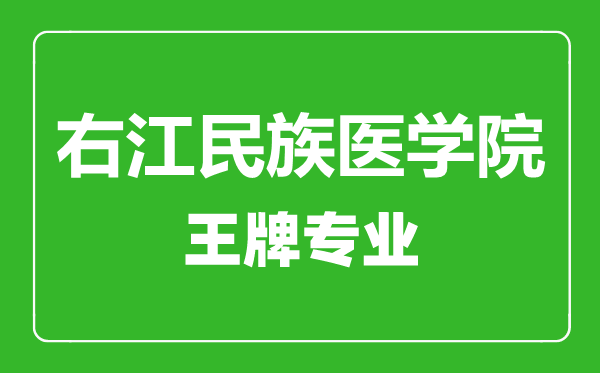 右江民族医学院王牌专业有哪些,右江民族医学院最好的专业是什么