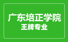 广东培正学院王牌专业有哪些_最好的专业是什么