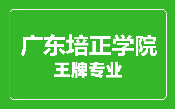 广东培正学院王牌专业有哪些,广东培正学院最好的专业是什么