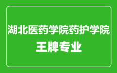 湖北医药学院药护学院王牌专业有哪些_最好的专业是什么