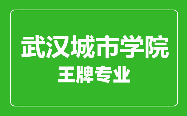 武汉城市学院王牌专业有哪些,武汉城市学院最好的专业是什么