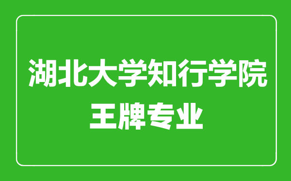 湖北大学知行学院王牌专业有哪些,湖北大学知行学院最好的专业是什么