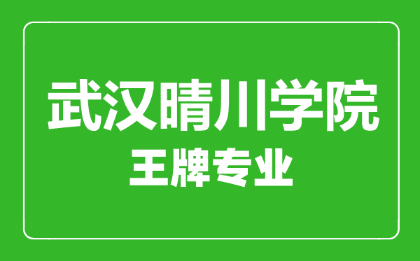 武汉晴川学院王牌专业有哪些,武汉晴川学院最好的专业是什么