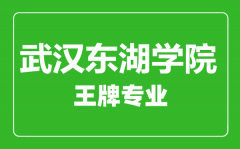 武汉东湖学院王牌专业有哪些_最好的专业是什么