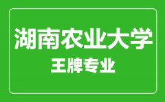 湖南农业大学王牌专业有哪些_最好的专业是什么