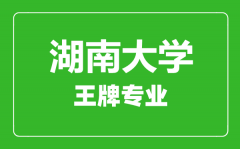 湖南大学王牌专业有哪些_最好的专业是什么