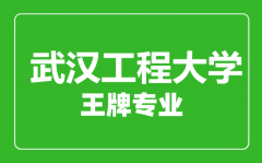 武汉工程大学王牌专业有哪些_最好的专业是什么