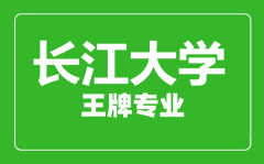 长江大学王牌专业有哪些_最好的专业是什么