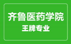 齐鲁医药学院王牌专业有哪些_最好的专业是什么