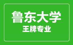 鲁东大学王牌专业有哪些_最好的专业是什么