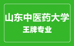 山东中医药大学王牌专业有哪些_最好的专业是什么