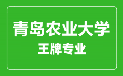 青岛农业大学王牌专业有哪些_最好的专业是什么