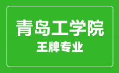 青岛工学院王牌专业有哪些_最好的专业是什么