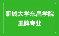 聊城大学东昌学院王牌专业有哪些_最好的专业是什么