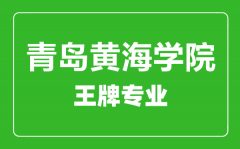 青岛黄海学院王牌专业有哪些_最好的专业是什么