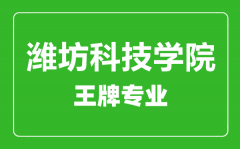 潍坊科技学院王牌专业有哪些_最好的专业是什么