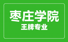 枣庄学院王牌专业有哪些_最好的专业是什么