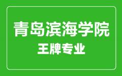 青岛滨海学院王牌专业有哪些_最好的专业是什么