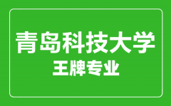 青岛科技大学王牌专业有哪些_最好的专业是什么