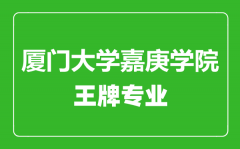 厦门大学嘉庚学院王牌专业有哪些_最好的专业是什么