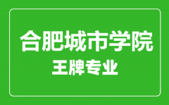 合肥城市学院王牌专业有哪些_最好的专业是什么