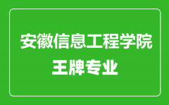 安徽信息工程学院王牌专业有哪些_最好的专业是什么