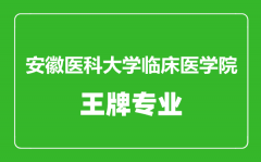 安徽医科大学临床医学院王牌专业有哪些_最好的专业是什么