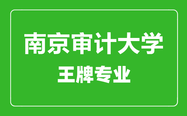 南京审计大学王牌专业有哪些,南京审计大学最好的专业是什么