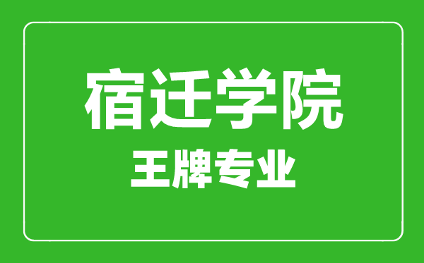 宿迁学院王牌专业有哪些,宿迁学院最好的专业是什么