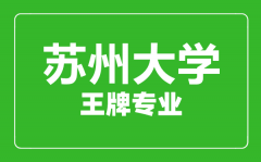 苏州大学王牌专业有哪些_最好的专业是什么