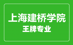 上海建桥学院王牌专业有哪些_最好的专业是什么