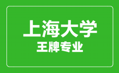 上海大学王牌专业有哪些_最好的专业是什么