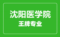 沈阳医学院王牌专业有哪些_最好的专业是什么