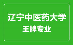 辽宁中医药大学王牌专业有哪些_最好的专业是什么