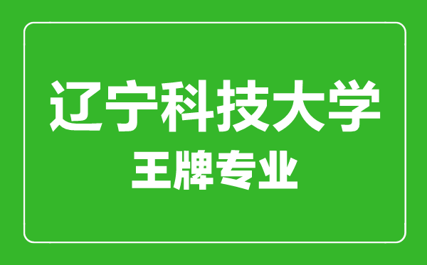 辽宁科技大学王牌专业有哪些,辽宁科技大学最好的专业是什么