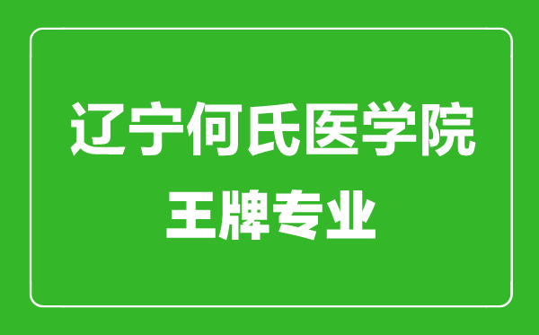 辽宁何氏医学院王牌专业有哪些,辽宁何氏医学院最好的专业是什么