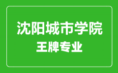 沈阳城市学院王牌专业有哪些_最好的专业是什么