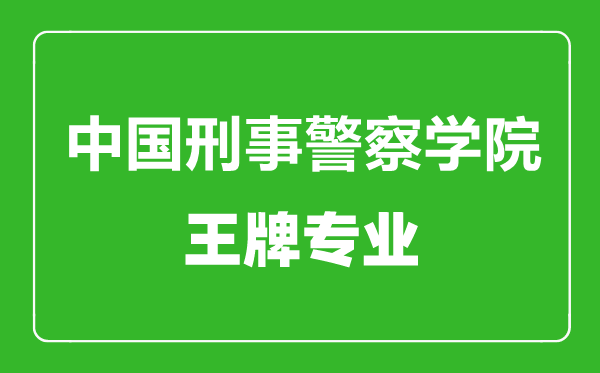 中国刑事警察学院王牌专业有哪些,中国刑事警察学院最好的专业是什么