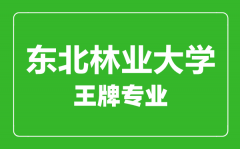 东北林业大学王牌专业有哪些_最好的专业是什么