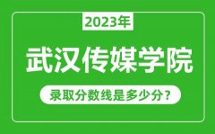 武汉传媒学院2023年录取分数线是多少分（含2021-2022历年）