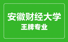 安徽财经大学王牌专业有哪些_最好的专业是什么