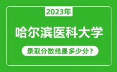 哈尔滨医科大学2023年录取分数线是多少分（含2021-2022历年）