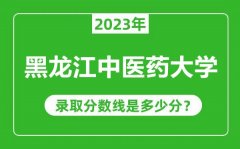 黑龙江中医药大学2023年录取分数线是多少分（含2021-2022历年）