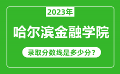 哈尔滨金融学院2023年录取分数线是多少分（含2021-2022历年）