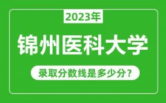 锦州医科大学2023年录取分数线是多少分（含2021-2022历年）