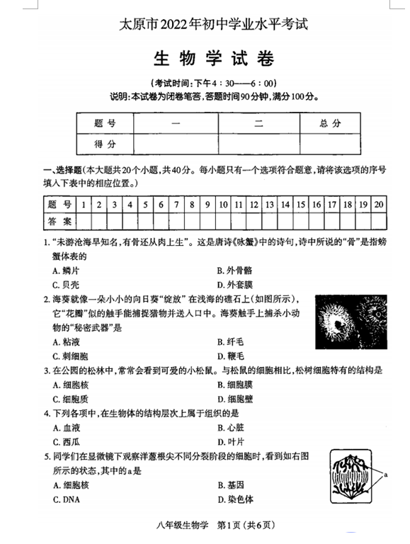 2023年大同市中考生物试卷真题及答案