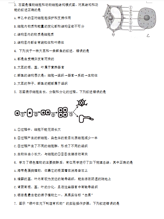 2023年临沂市中考生物试卷真题及答案