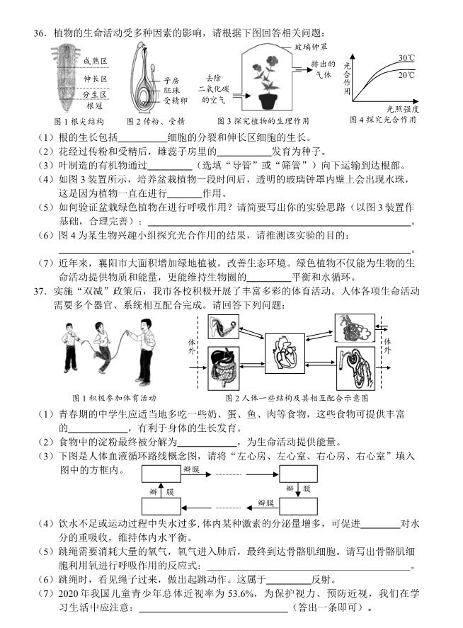 2023年襄阳市中考生物真题及答案