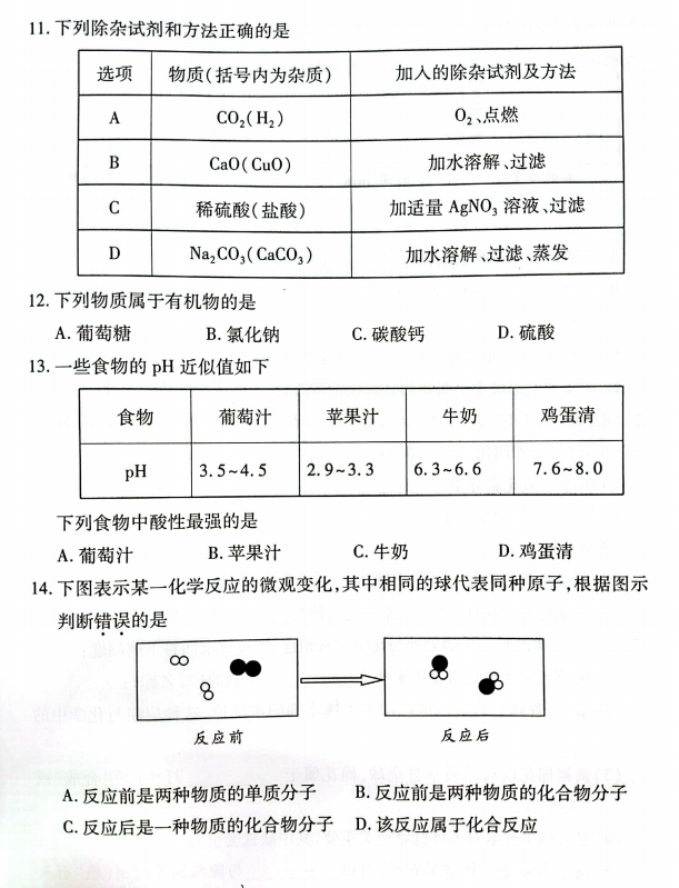 2023年郴州市中考化学试卷真题及答案